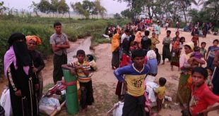 Myanmar Arakanlı Müslümanlara yönelik suç işlemeye devam ediyor