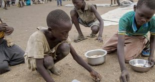 Afrika'da çekirge istilası nedeniyle açlık krizi kapıda