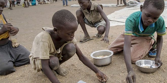 Afrika'da çekirge istilası nedeniyle açlık krizi kapıda