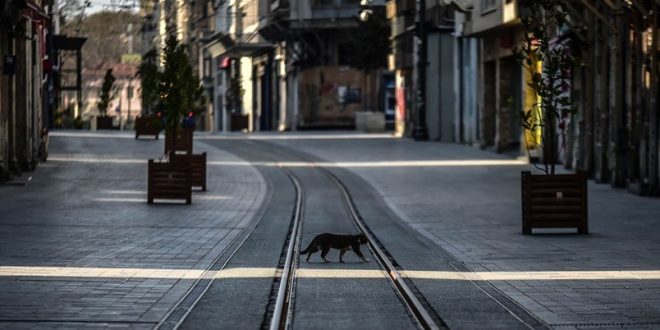 Hafta sonu sokağa çıkma yasağı kararı neden alındı?