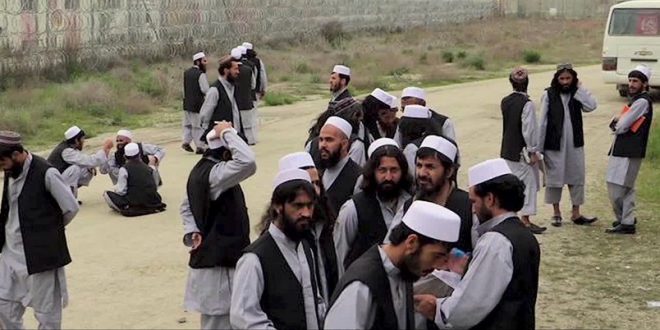 Taliban üyeleri serbest bırakılmaya devam ediyor