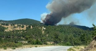 Çanakkale'de orman yangını