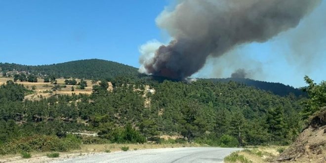 Çanakkale'de orman yangını