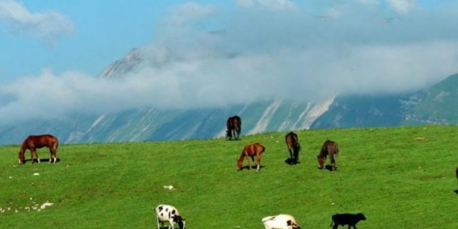 Doğal güzelliğiyle Çeçenya’dan manzaralar