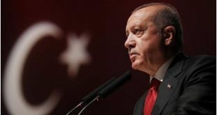 Erdoğan toplu açılış törenine canlı bağlandı: Bazı açıklamalarda bulundu