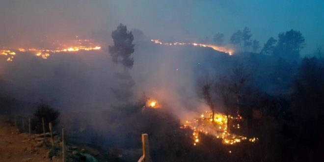 Isparta'da orman yangını