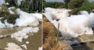 Mersin’in Tarsus ilçesindeki Kusun Deresi köpürdü!