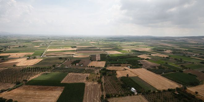 Bakan, son 5 yılda yabancıların aldığı arazi miktarını açıkladı