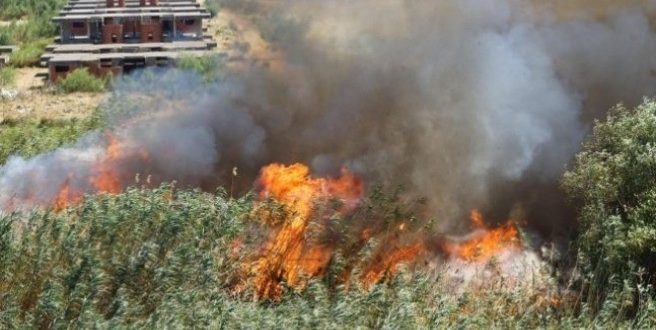 Balıkesir Edremit'te yangın çıktı