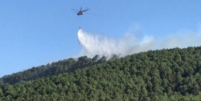 İstanbul Aydos Ormanı'nda yeni yangın