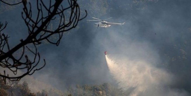 İzmir'de orman yangını çıktı