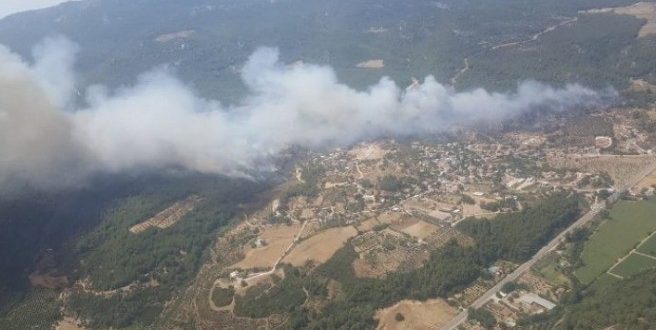 İzmir'in Menderes ilçesinde orman yangını çıktı