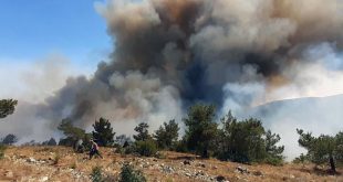 Pakdemirli: Menderes yangını kontrol altında, 1 gözaltı var