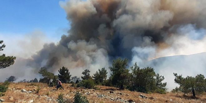 Pakdemirli: Menderes yangını kontrol altında, 1 gözaltı var