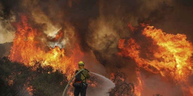 ABD'de orman yangınlarında ölü sayısı 15'e yükseldi!