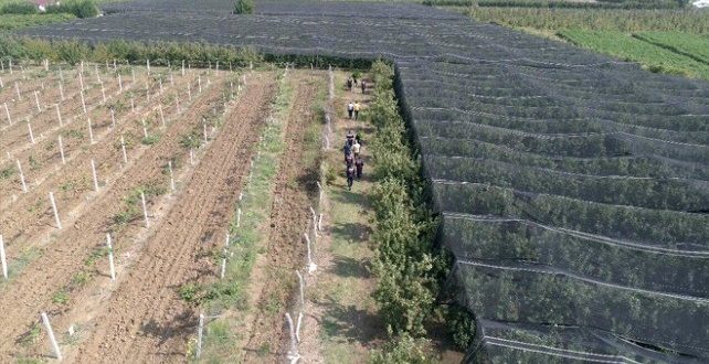 Bursa'da drone destekli uyuşturucu operasyonu