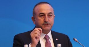 Çavuşoğlu'ndan, Avusturya Başbakanına, Erdoğan tepkisi!