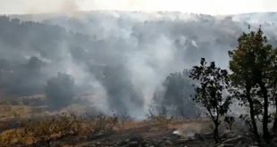 Elazığ'da orman yangını