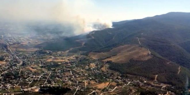 Hatay'da orman yangını yeniden başladı