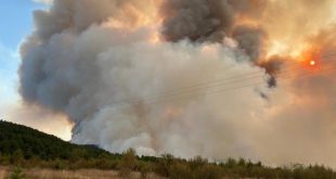 Kastamonu'da orman yangını: Yerleşim yerleri tehdit altında