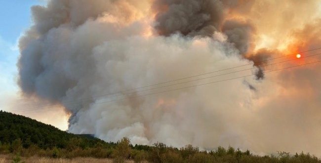 Kastamonu'da orman yangını: Yerleşim yerleri tehdit altında