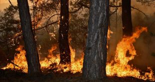 Kastamonu'da  yangına son anda müdahele