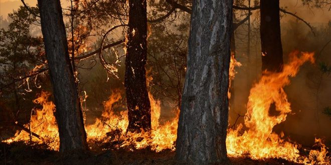 Kastamonu'da  yangına son anda müdahele