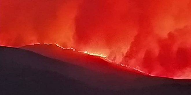 Suriye'deki orman yangını büyüyor