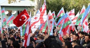 Gürcistan'da Azerbaycan'a destek gösterisi