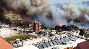 Hatay'da orman yangını. Evlere ve iş yerlerine sıçradı!