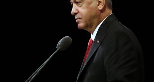 Senegalli aktivistlerden Erdoğan'a destek