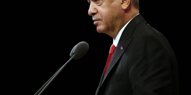 Senegalli aktivistlerden Erdoğan'a destek