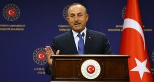 Dışişleri Bakan Çavuşoğlu Covid-19 aşısı geliştiren Türk bilim insanlarıyla görüştü