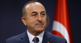 Şentop ve Çavuşoğlundan Viyana'ya destek mesajı