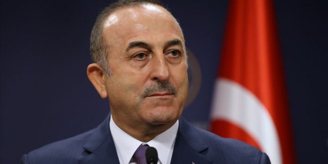 Şentop ve Çavuşoğlundan Viyana'ya destek mesajı