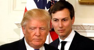 Damat  Kushner, Trump’a "Mücadeleyi bırak"