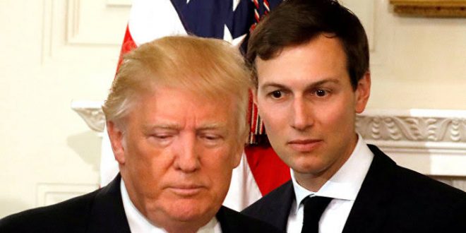 Damat  Kushner, Trump’a "Mücadeleyi bırak"