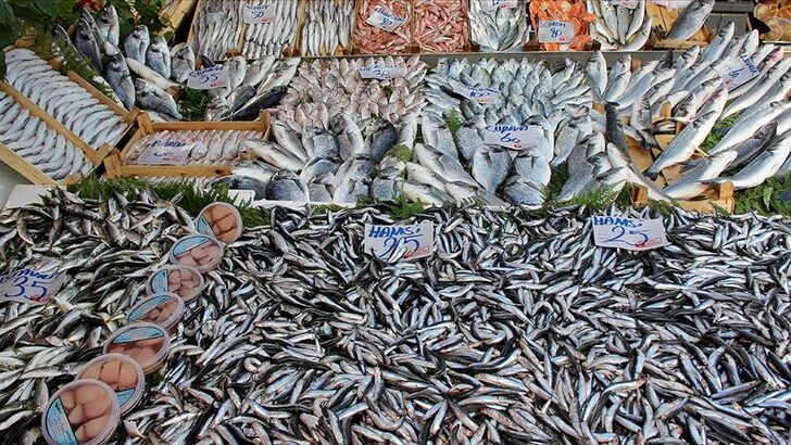 Son dakika: Karadeniz'de ve İstanbul Boğazı'nda hamsi avı yasaklandı