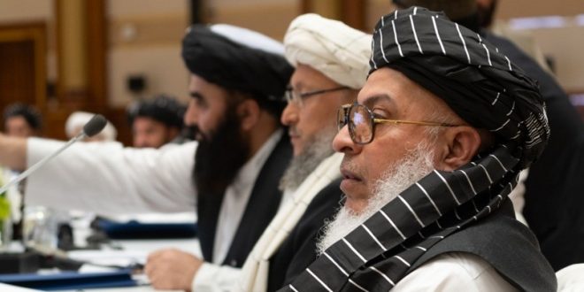 Taliban: Afganistan'da El Kaide mensubu yok