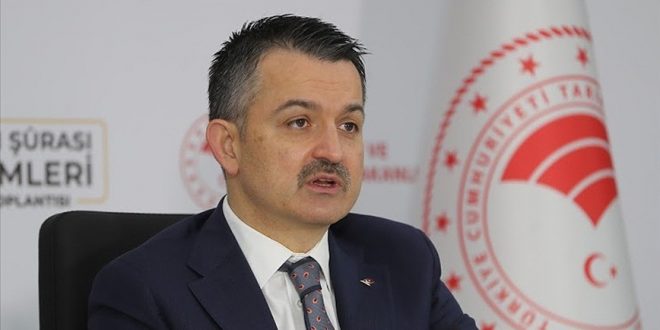 2021’de 24 milyar TL tarımsal destek ödemesi yapılacak