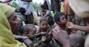 BM, Rohingya'lı müslümanların durumundan endişeli!