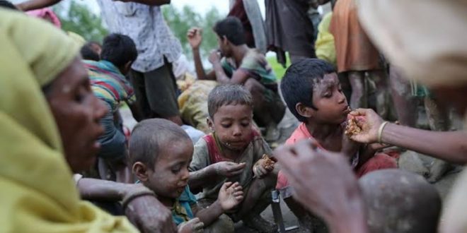 BM, Rohingya'lı müslümanların durumundan endişeli!