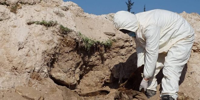 El-Bab'da yeni toplu mezar bulundu