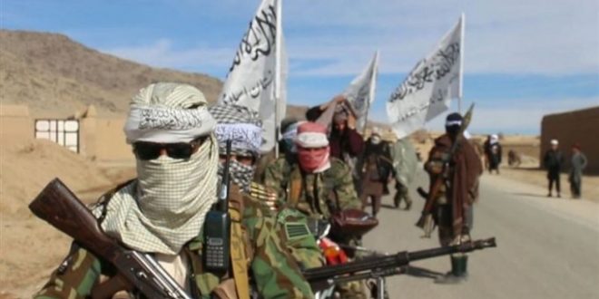 Taliban'dan Afgan ordusuna pusu