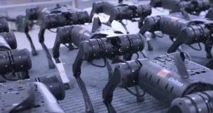 Çin'in robot köpek ordusu!