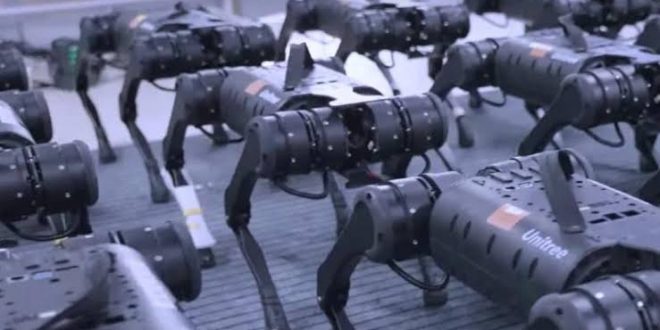 Çin'in robot köpek ordusu!