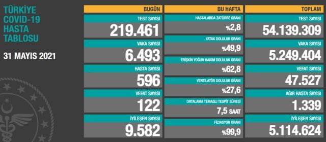 31 Mayıs Türkiye koronavirüs tablosu