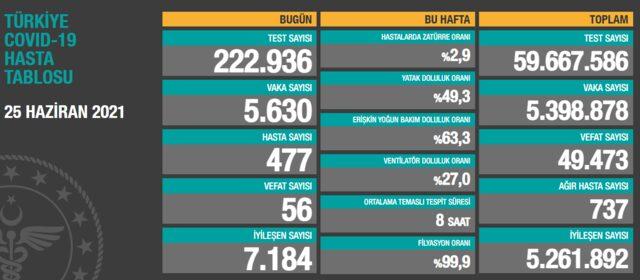 25 Haziran Türkiye koronavirüs tablosu