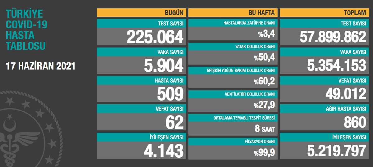 17 Haziran Türkiye koronavirüs  tablosu