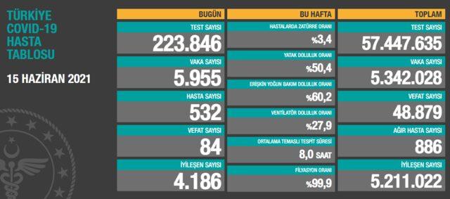 15 Haziran Türkiye koronavirüs tablosu